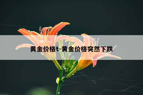 黄金价格t-黄金价格突然下跌