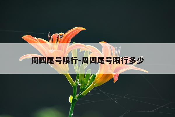 周四尾号限行-周四尾号限行多少