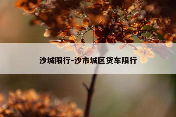 沙城限行-沙市城区货车限行