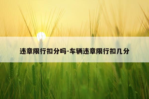 违章限行扣分吗-车辆违章限行扣几分