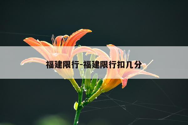 福建限行-福建限行扣几分