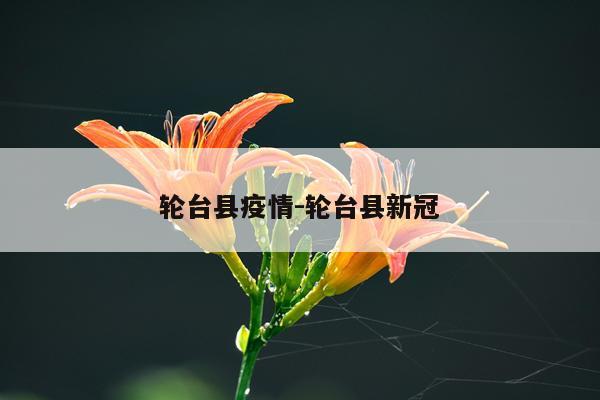 轮台县疫情-轮台县新冠