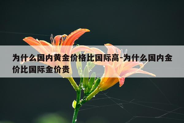 为什么国内黄金价格比国际高-为什么国内金价比国际金价贵