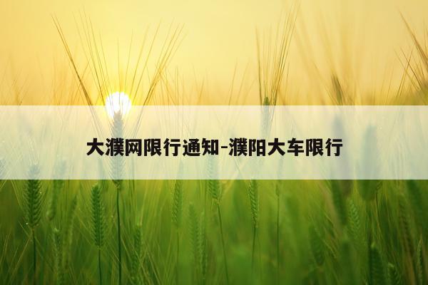 大濮网限行通知-濮阳大车限行