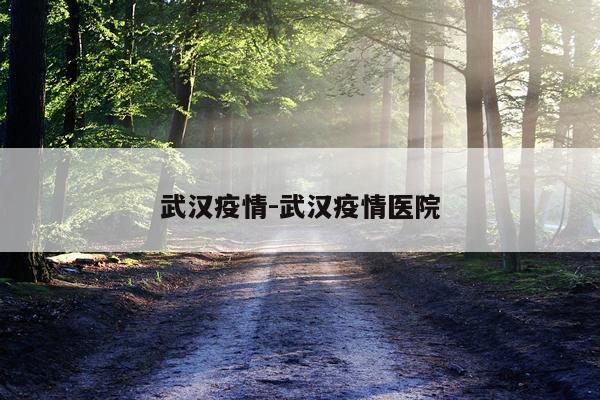 武汉疫情-武汉疫情医院