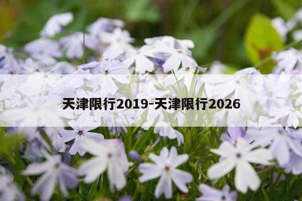 天津限行2019-天津限行2026