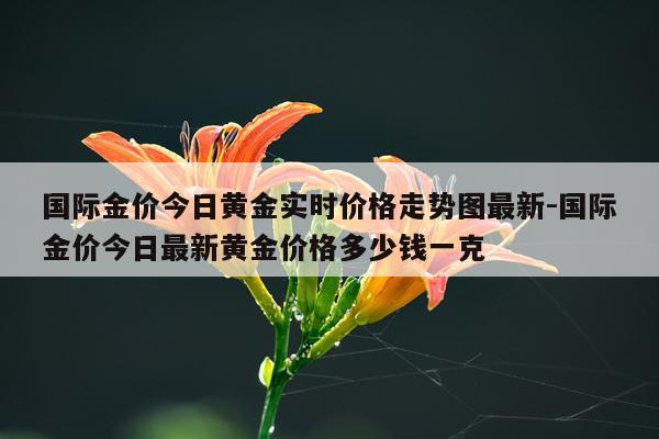 国际金价今日黄金实时价格走势图最新-国际金价今日最新黄金价格多少钱一克
