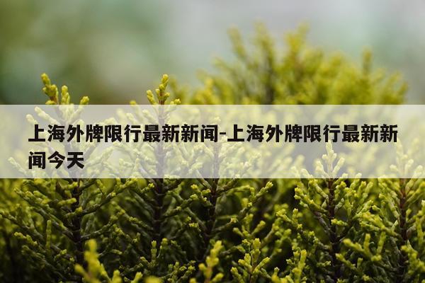 上海外牌限行最新新闻-上海外牌限行最新新闻今天