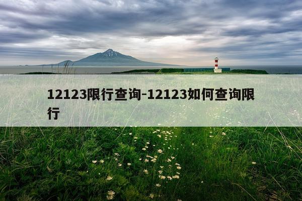 12123限行查询-12123如何查询限行