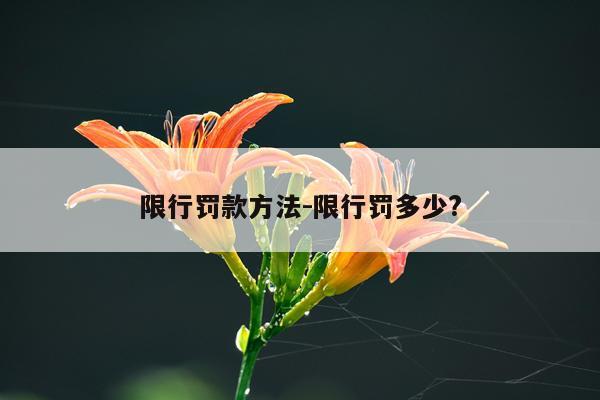 限行罚款方法-限行罚多少?