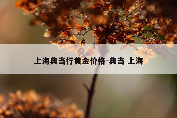 上海典当行黄金价格-典当 上海
