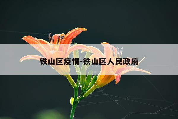 铁山区疫情-铁山区人民政府