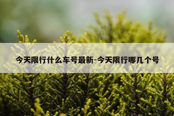 今天限行什么车号最新-今天限行哪几个号