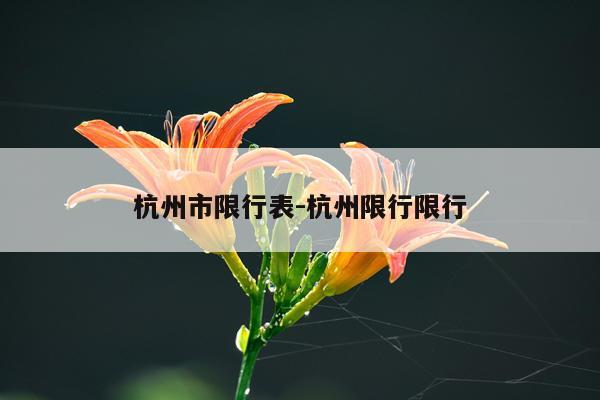 杭州市限行表-杭州限行限行