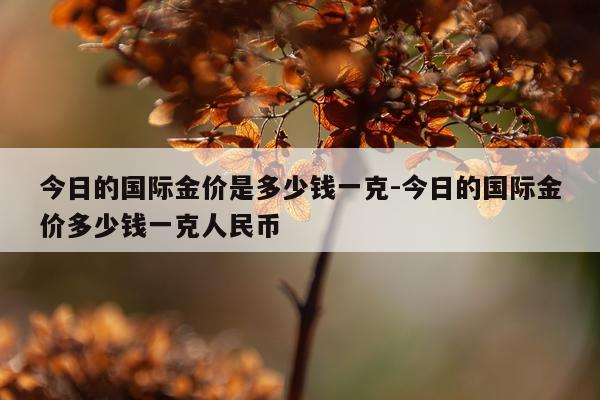 今日的国际金价是多少钱一克-今日的国际金价多少钱一克人民币
