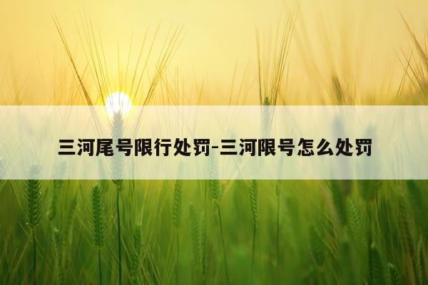 三河尾号限行处罚-三河限号怎么处罚