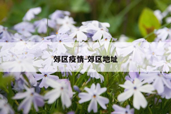 郊区疫情-郊区地址