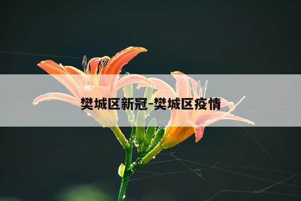 樊城区新冠-樊城区疫情