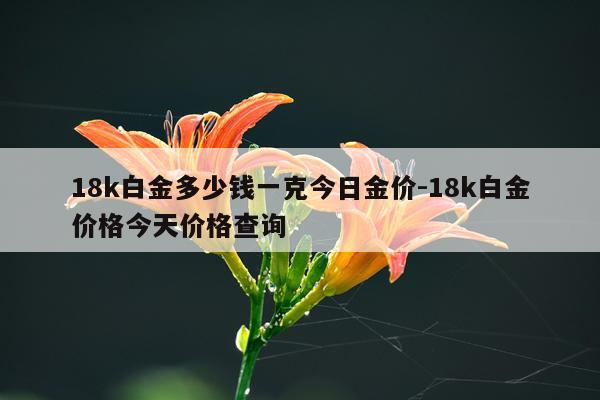 18k白金多少钱一克今日金价-18k白金价格今天价格查询