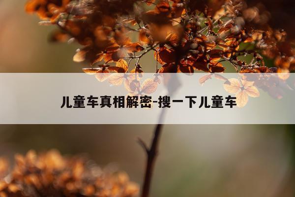 儿童车真相解密-搜一下儿童车