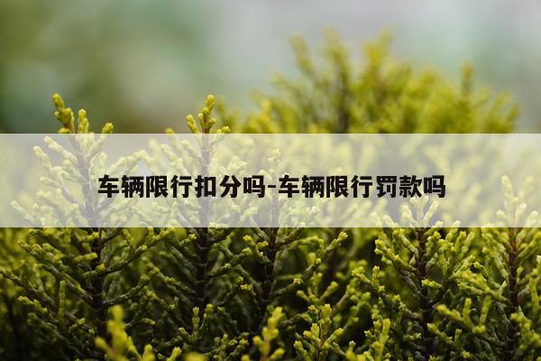 车辆限行扣分吗-车辆限行罚款吗