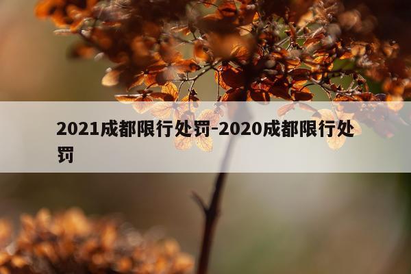 2021成都限行处罚-2020成都限行处罚