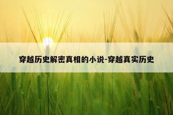 穿越历史解密真相的小说-穿越真实历史