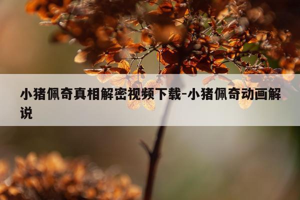 小猪佩奇真相解密视频下载-小猪佩奇动画解说