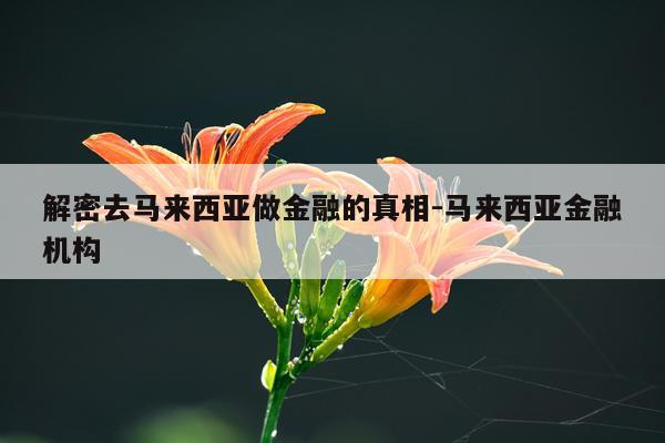 解密去马来西亚做金融的真相-马来西亚金融机构