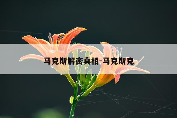 马克斯解密真相-马克斯克