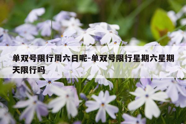 单双号限行周六日呢-单双号限行星期六星期天限行吗