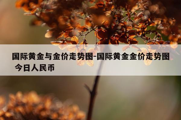 国际黄金与金价走势图-国际黄金金价走势图 今日人民币