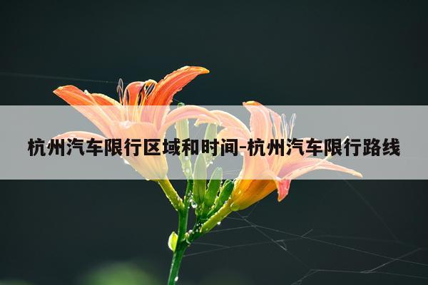 杭州汽车限行区域和时间-杭州汽车限行路线