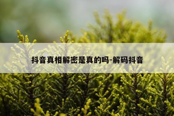 抖音真相解密是真的吗-解码抖音