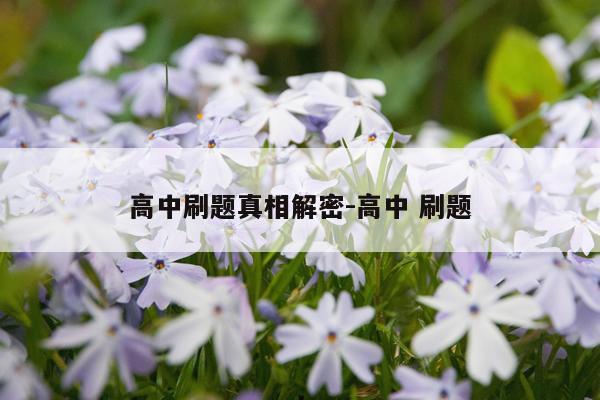 高中刷题真相解密-高中 刷题