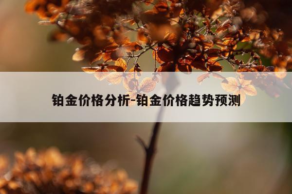 铂金价格分析-铂金价格趋势预测