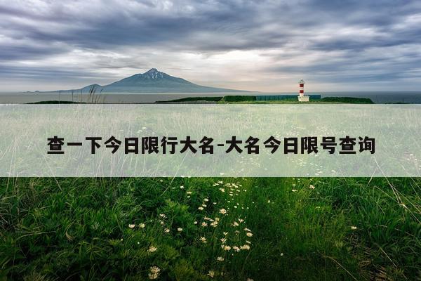 查一下今日限行大名-大名今日限号查询