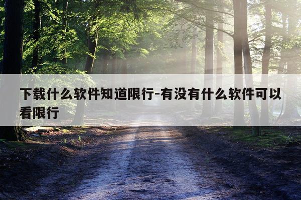 下载什么软件知道限行-有没有什么软件可以看限行