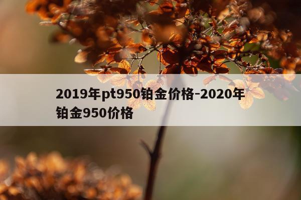 2019年pt950铂金价格-2020年铂金950价格