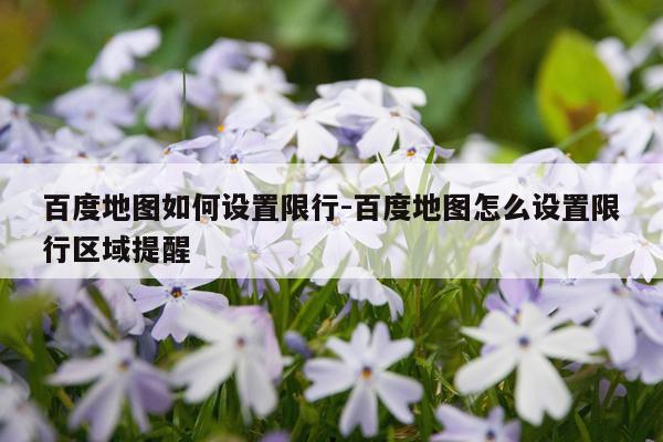 百度地图如何设置限行-百度地图怎么设置限行区域提醒