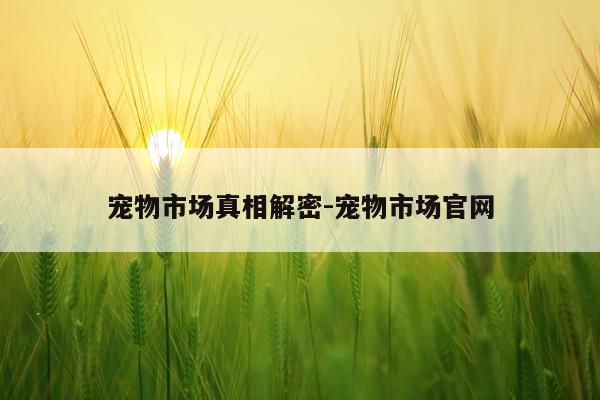 宠物市场真相解密-宠物市场官网