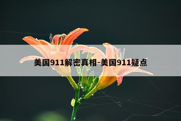 美国911解密真相-美国911疑点