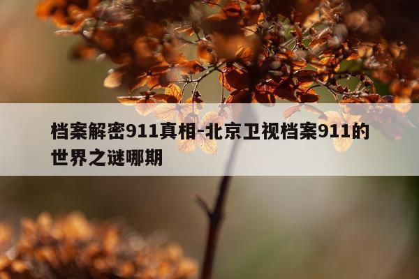 档案解密911真相-北京卫视档案911的世界之谜哪期