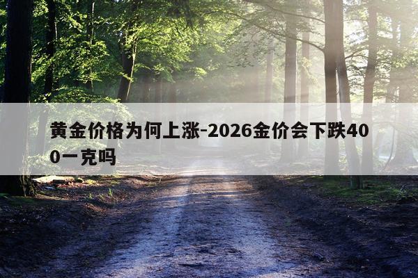 黄金价格为何上涨-2026金价会下跌400一克吗