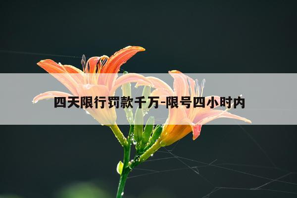 四天限行罚款千万-限号四小时内