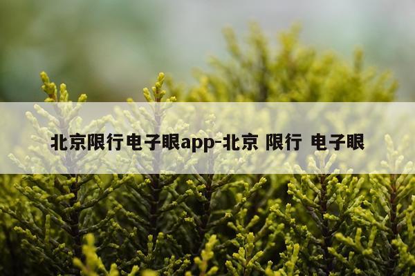 北京限行电子眼app-北京 限行 电子眼