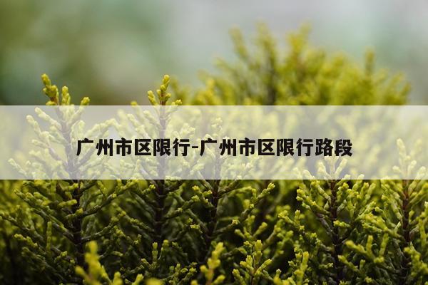 广州市区限行-广州市区限行路段