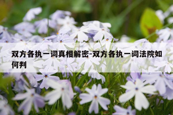 双方各执一词真相解密-双方各执一词法院如何判