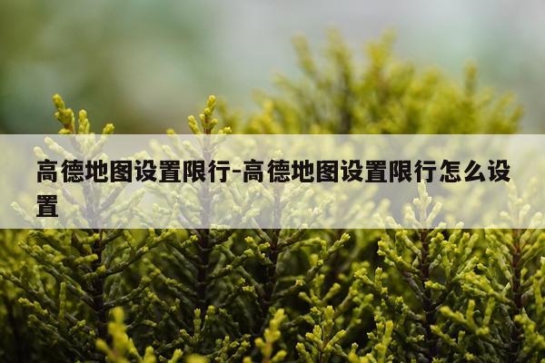 高德地图设置限行-高德地图设置限行怎么设置
