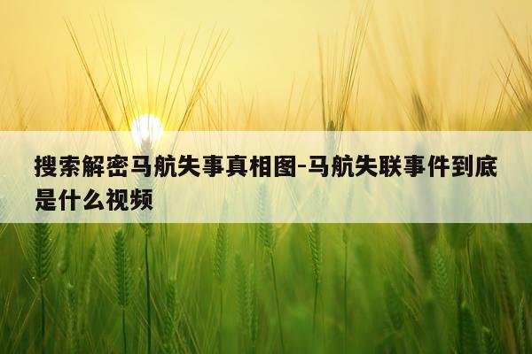 搜索解密马航失事真相图-马航失联事件到底是什么视频